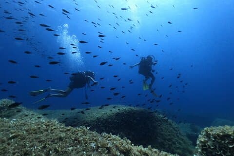 Scuba Diving in the Marine Area of Villasimius (only patented)