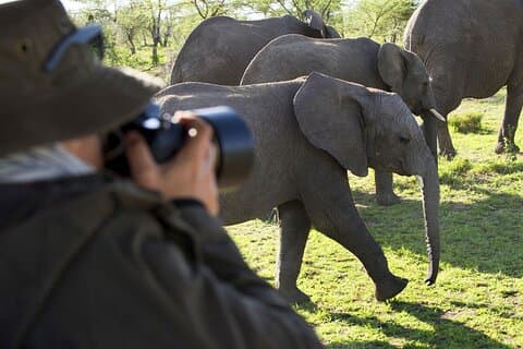 5-dagars Serengeti och Ngorongoro Crater Safari