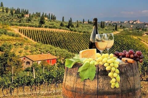 Privat halvdagstur til Chianti Classico fra Firenze