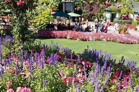 Visite privée romantique des explorateurs de Victoria et des jardins Butchart