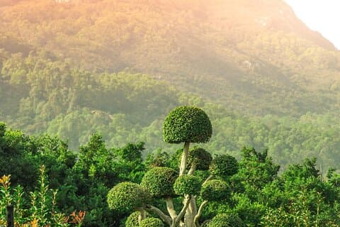 Morgenwanderung und Sonnenaufgang in Krabi mit Ihrem englischsprachigen Reiseleiter