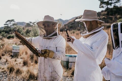 30-Minute Guided Honey Tasting Activity in Melini