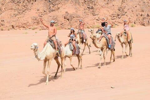 Giro in cammello, cena beduina e osservazione delle stelle in Jeep Safari 4X4 a Hurghada