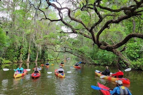 Scenic Half-Day Kayak or Paddleboard Rental – Dora Canal