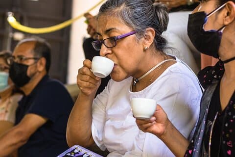 Los Colores del Café en las Fincas de Coatepec
