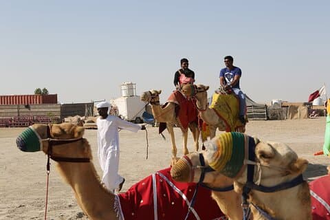 Doha; Sunrise Desert Tour and camel safari 4hrs