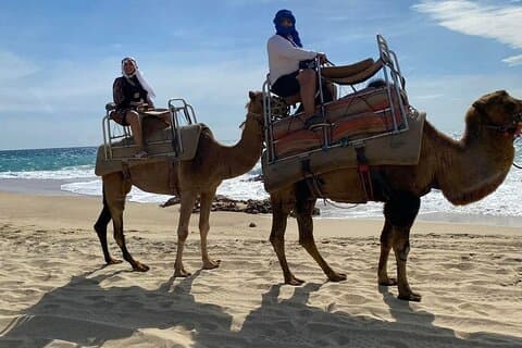 Aventura de camelo e degustação de tequila no Oceano Pacífico