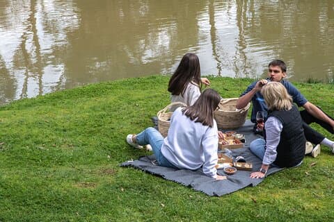 Farm Picnic for 4 Adults at Red Hill on the Mornington Peninsula