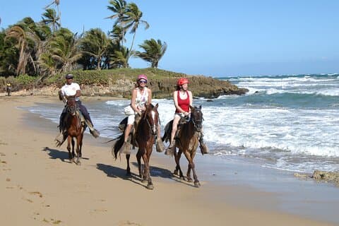 Excursión a Caballo por las Playas de Punta Cana