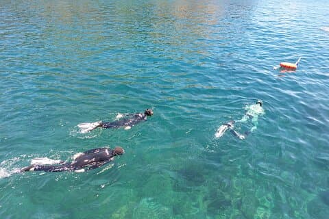 Tredje ø: Cabras Islet Bådtur + Snorkling