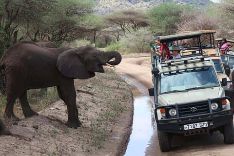 Private Lake Manyara National Park Excursão de um dia saindo de Arusha