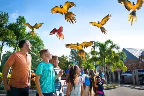Toegangsbewijs voor ZooTampa at Lowry Park