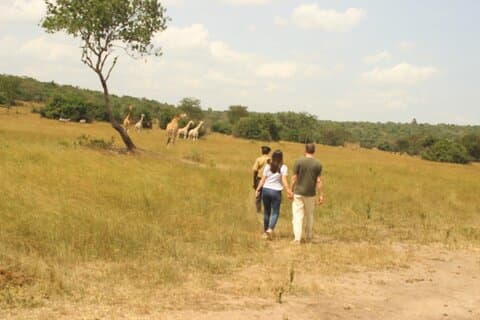 Safari de vida salvaje en el parque nacional del lago Mburo de 2 días