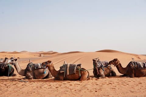 Shared 3 Days Desert Tour from Marrakech (Private Accommodations)