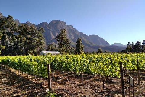 Private Package to Finest Vineyards - Stellenbosch pickup