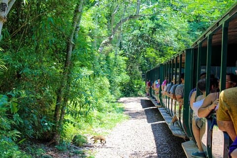 Cataratas do Iguaçu: Lado Argentino com Trem Ecológico da Floresta Tropical