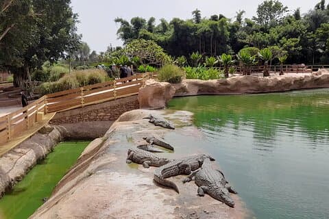Agadir Crocoparc Tour met lokale gids