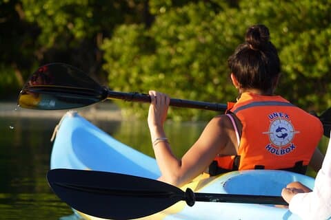Tour the Mangroves in Kayak by Isla Holbox