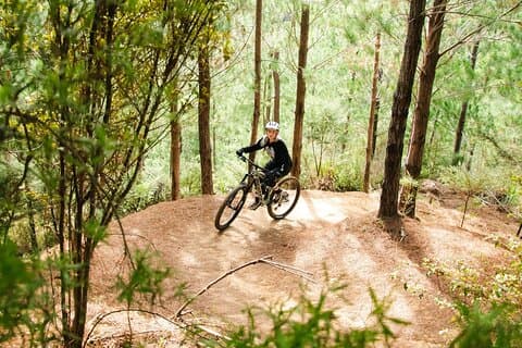 Bike Hire at the Waitangi Mountain Bike Park