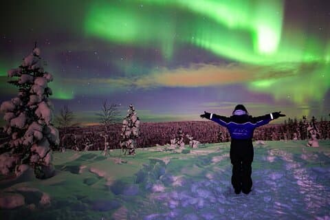 Northern Lights Wilderness Small-Grupp Tour från Rovaniemi