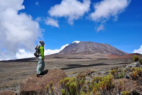 9-dagers vandring av Mount Kilimanjaro via Lemosho