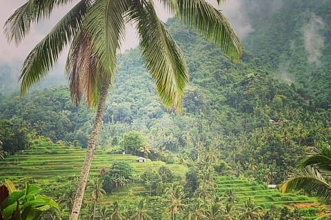 Bali : Personnalisé 2 jours aller-retour Nord Moyen Bali