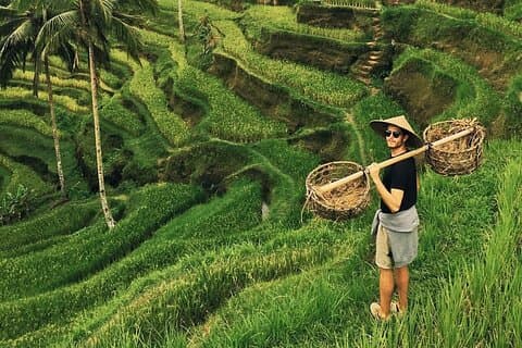Privat rundtur i Ubud - Bästa av Ubud med all inclusive