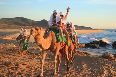Tour 2x1: Arco de Cabo San Lucas + Camellos + Pick up!