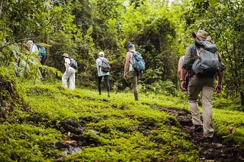 Parque Nacional de Arusha Safari de caminhada privada e experiência de vida selvagem