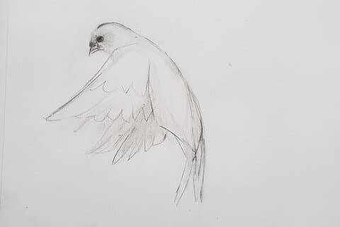 Introduction to Drawing