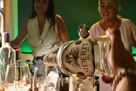 Madrid Gin Workshop : Descubre las Gins, Botánicos & Tapas Españoles