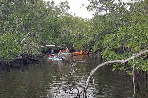 One Way Ticket To Paradise Ft. Lauderdale Exploration Paddle Tour