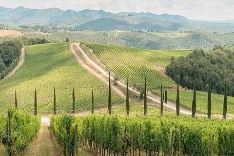 Private Chianti Winery Tour vanuit Livorno met ophalen en wegbrengen