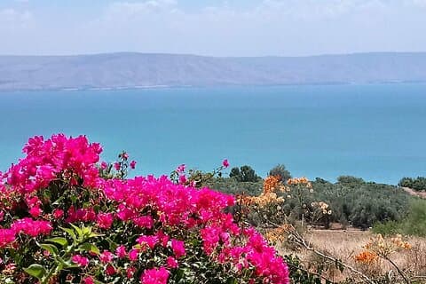 Fra Tel Aviv / Jerusalem: Galilæa, Nazaret, Jordan River Tour