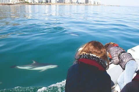 Ocean Wildlife Encounter à Cape Town