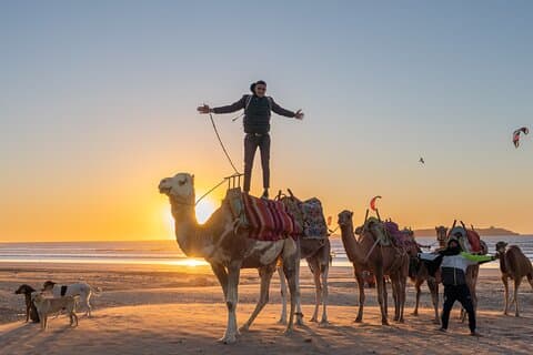 Half Day Marrakech Private Excursion