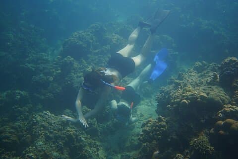 Meraviglioso luogo di snorkeling da Manila a 2 ore da Manila