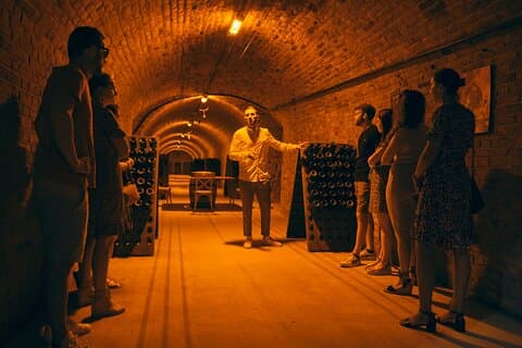 Eftermiddagens champagnebesök och provsmakning nära Epernay