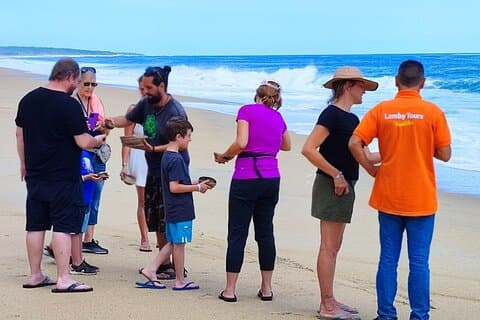 Private tour to release turtles with tickets included