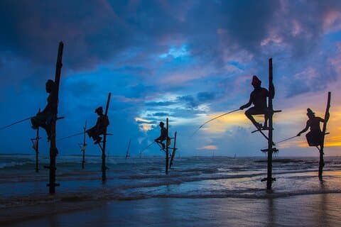Visite privée de 14 jours au Sri Lanka avec prise en charge