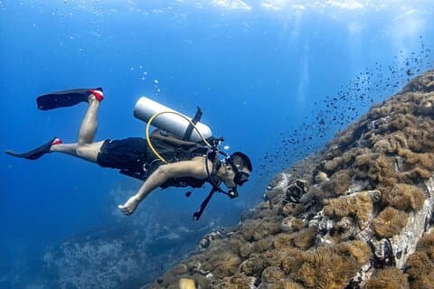 Basic Diver ( One Day Experience)