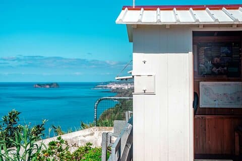 São Miguel: Azores Whaling & Lookout Legacy Tour