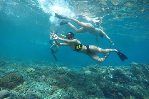Excursion quotidienne à l'ouest de l'île de Nusa Penida et plongée en apnée avec déjeuner au départ de Bali