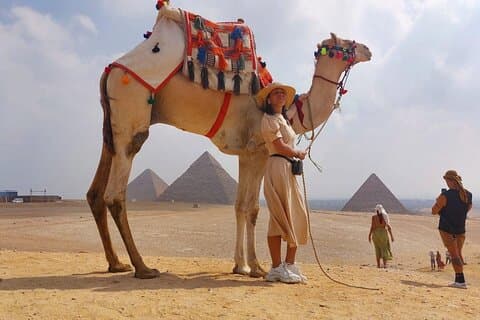 Giza-pyramider, sfinx, egyptisk museum, kameltur inkluderer adgangsgebyrer