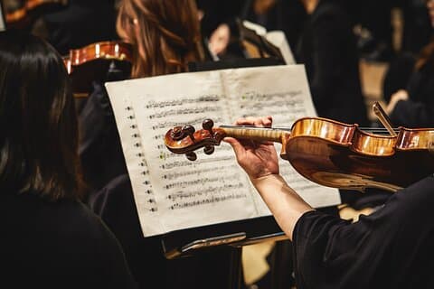 Mozart, Beethoven, Strauss en Viena Tour privado y concierto