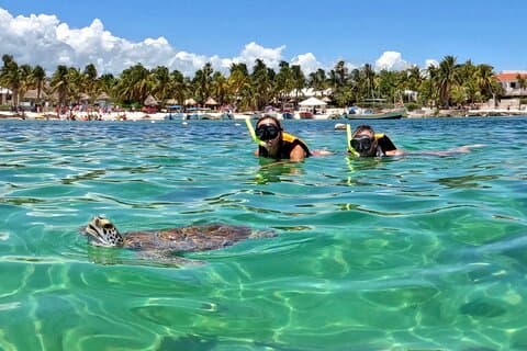Akumal; Snorkeling e fotos com tartarugas