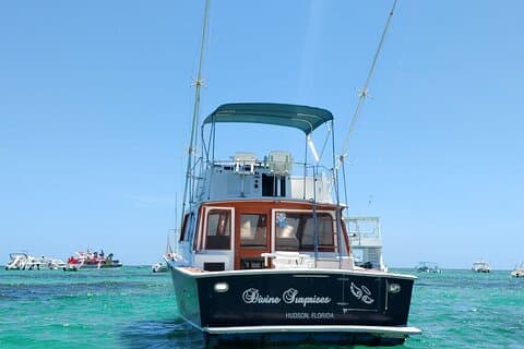 FISHING PRO CHARTERS - Bådudflugt - Divina