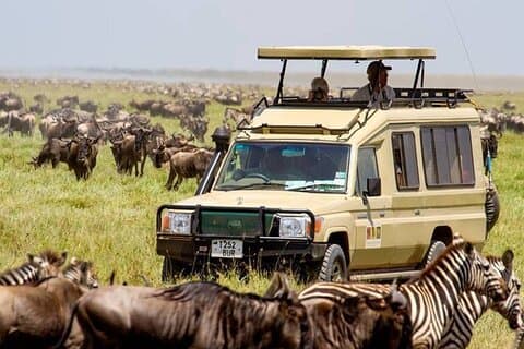 13 Tage Beste Kenia und Tansania Budget Safari
