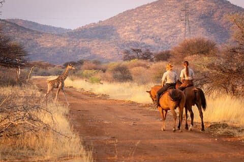 Visita guiada privada a safari a caballo y cata de vinos