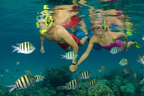 Nassau Shore Excursion: Bahamas Snorkel Adventure